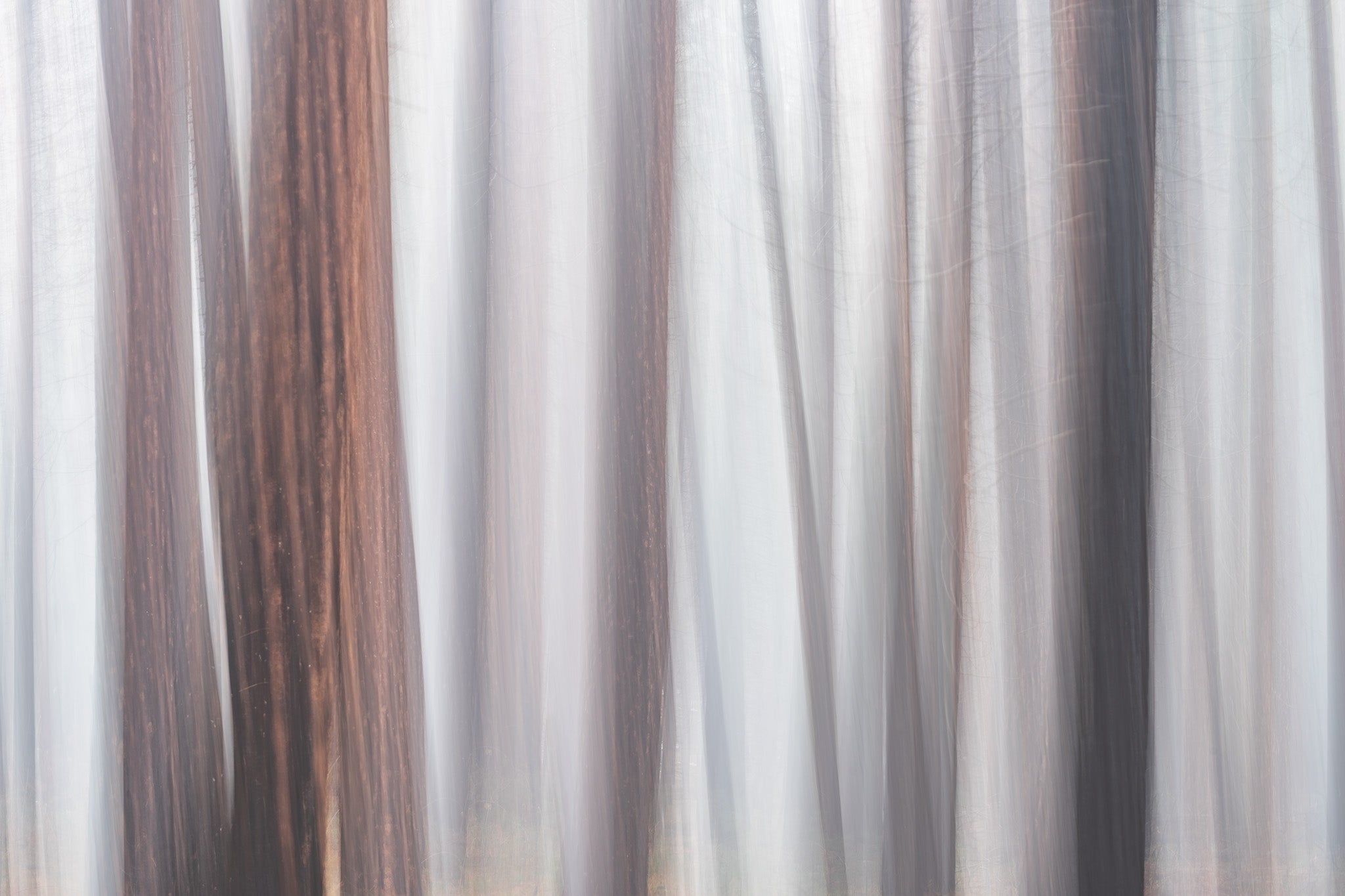 Abstract Wall Art