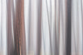 Abstract fine art print - photograph of pine trees in Yosemite National Park, USA