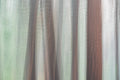 Abstract fine art print - photograph of pine trees at Yosemite National Park, California, USA
