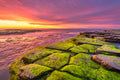 Coastal fine art print - photograph of sunrise at Turimetta beach, NSW