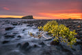 Coastal fine art print - photograph of sunrise at Minnamurra beach, NSW