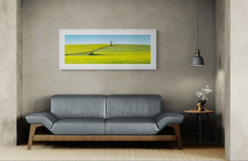 Country fine art print - photograph of canola fields in Tangmangaroo, NSW