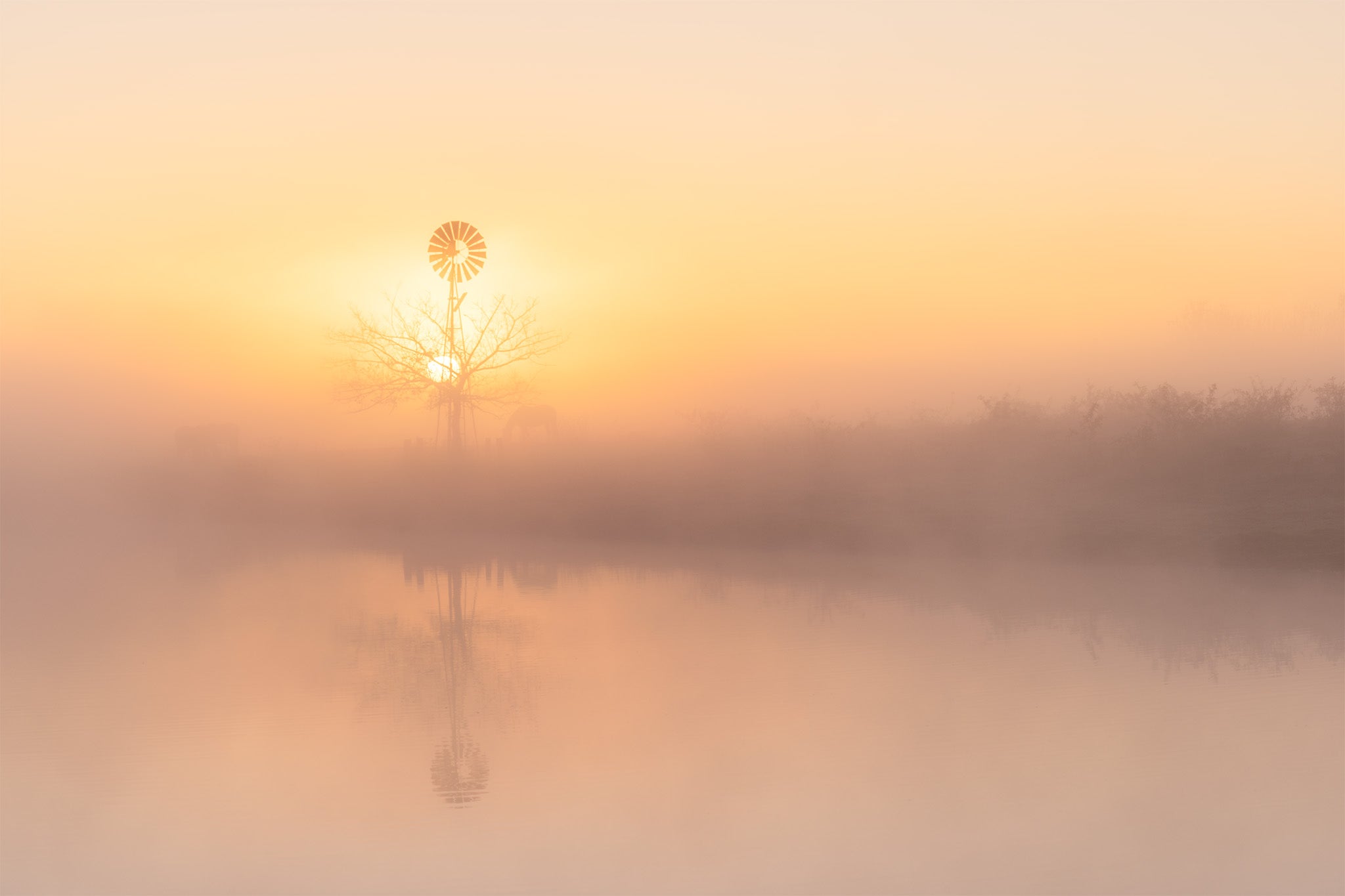 Country fine art print - photograph of windmill during foggy sunrise at Richmond Lowlands, NSW
