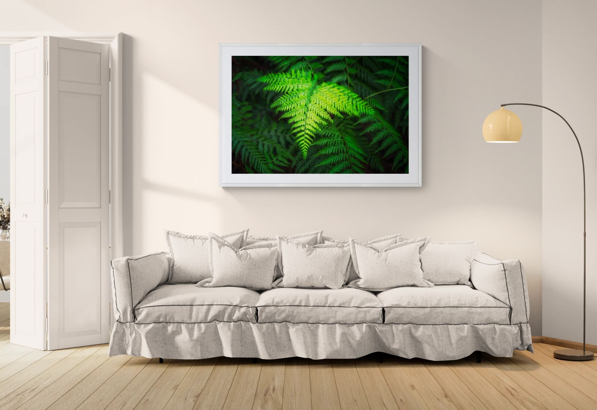 Forest fine art print - photograph of fern in Blue Gum Walk, Hornsby, NSW