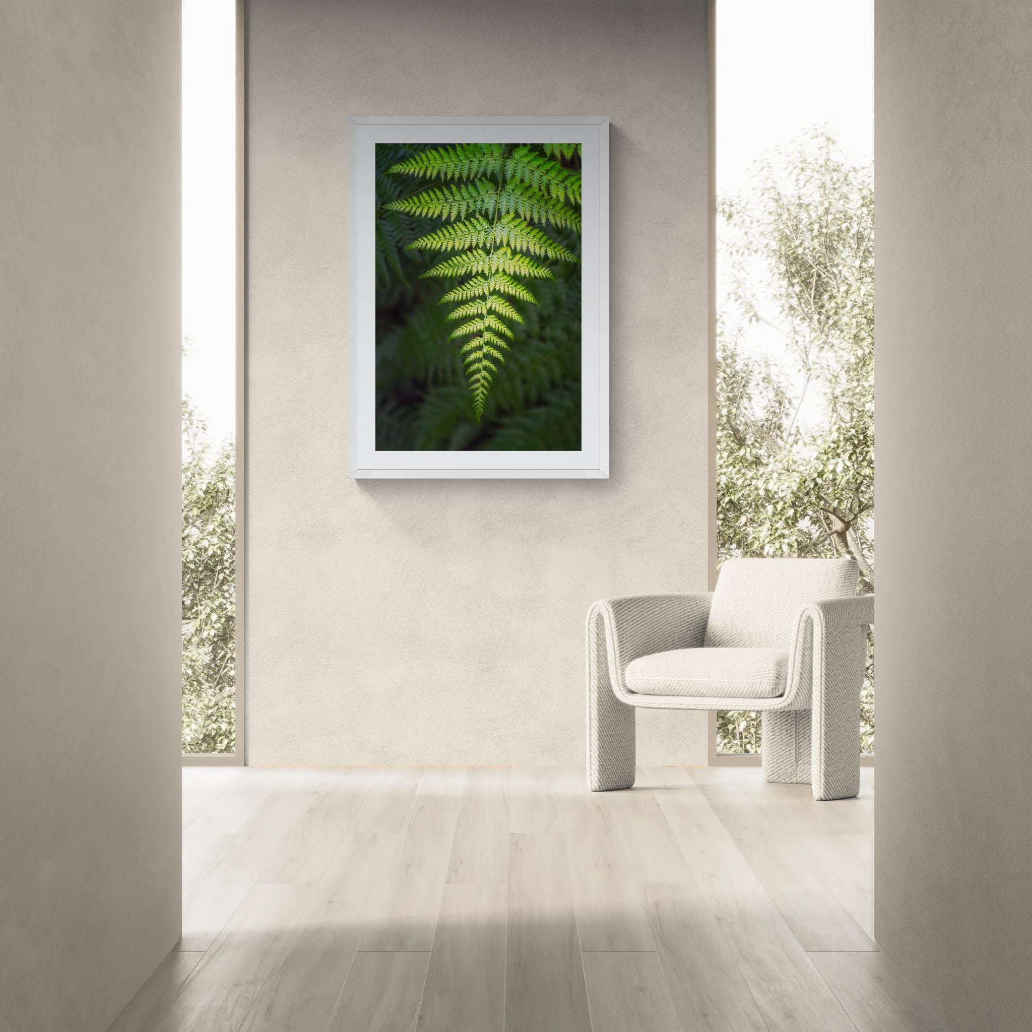 Forest fine art print - photograph of fern in Blue Gum Walk, Hornsby, NSW