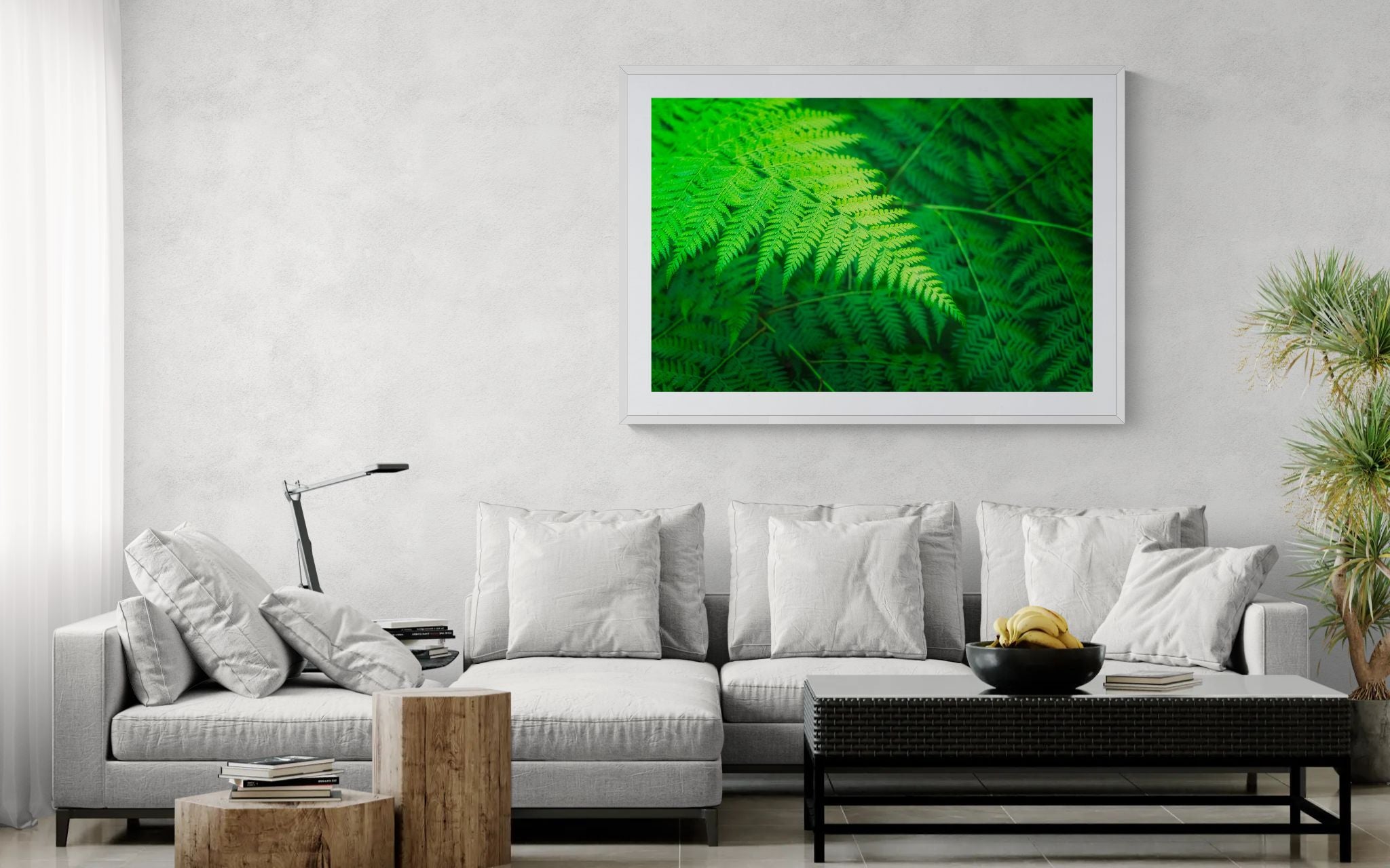 Forest fine art print - photograph of fern in Blue Gum Walk, Hornsby, NSW