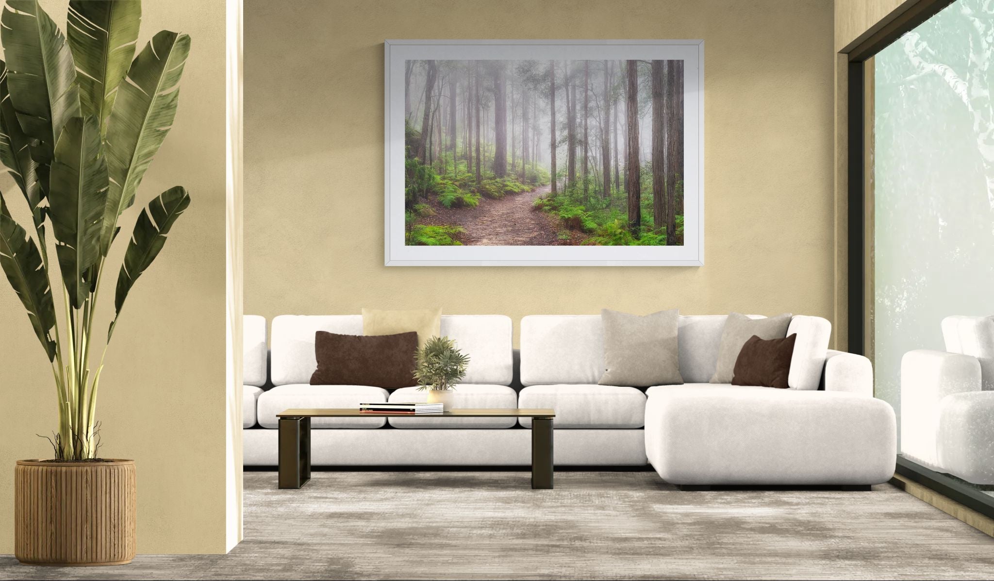 Forest fine art print - photograph of foggy morning at Blue Gum Walk, Hornsby, NSW