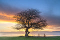 Inland Water fine art print - photograph of sunset at Lake Illawarra, NSW