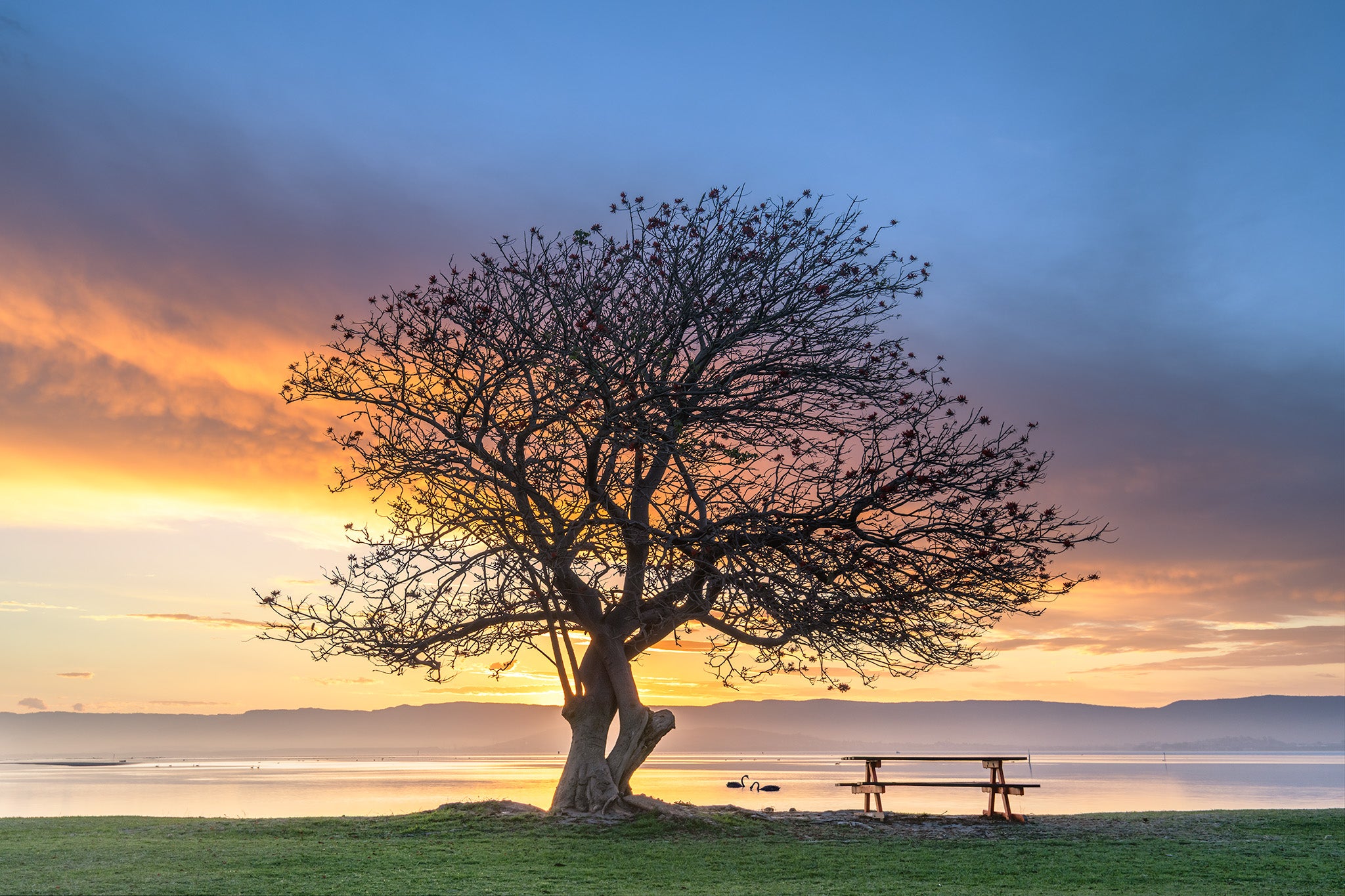 Inland Water fine art print - photograph of sunset at Lake Illawarra, NSW