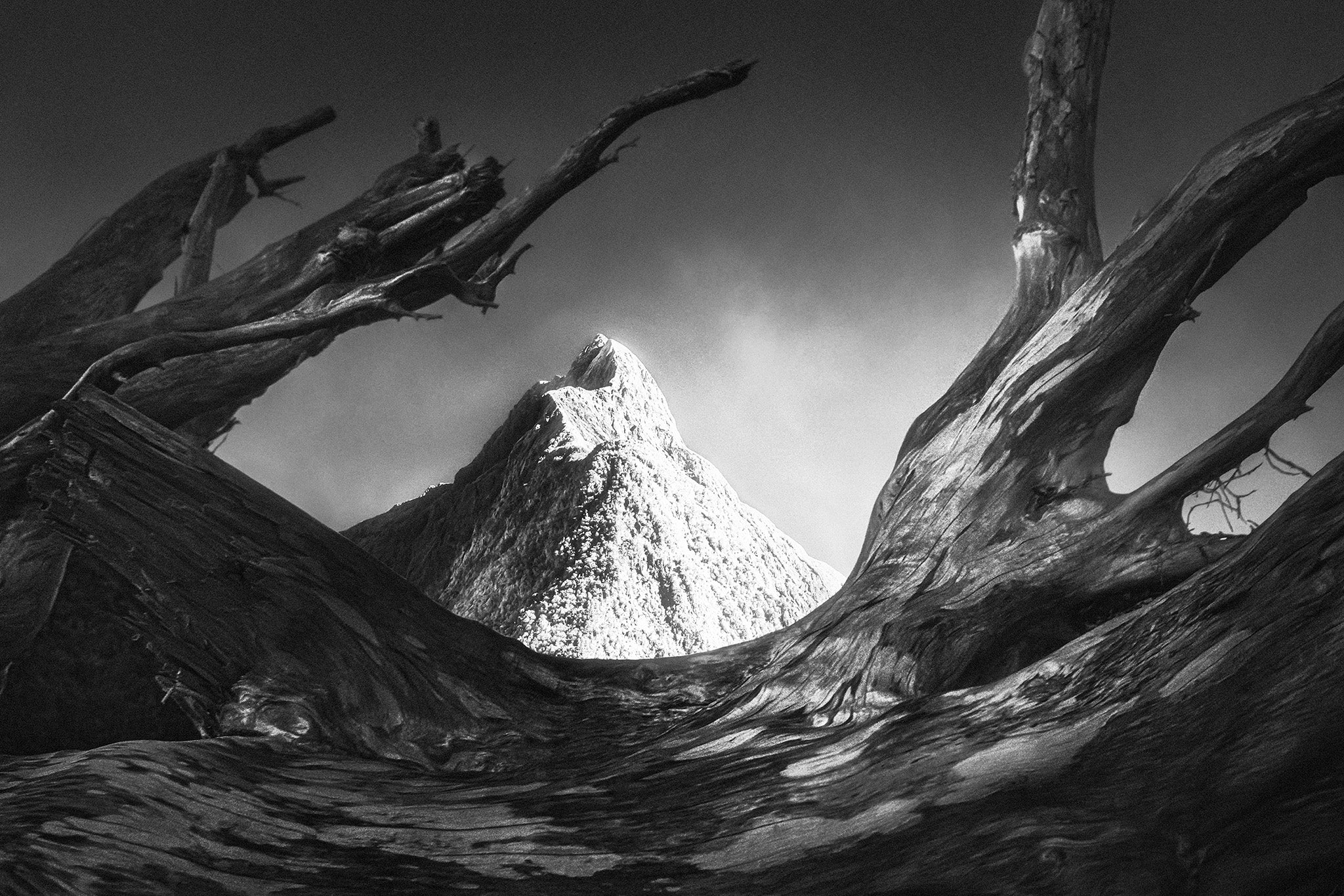 Mountains fine art print - photograph of Mitre Peak, New Zealand