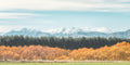 Mountains fine art print - photograph of mountains and autumn in New Zealand South Island