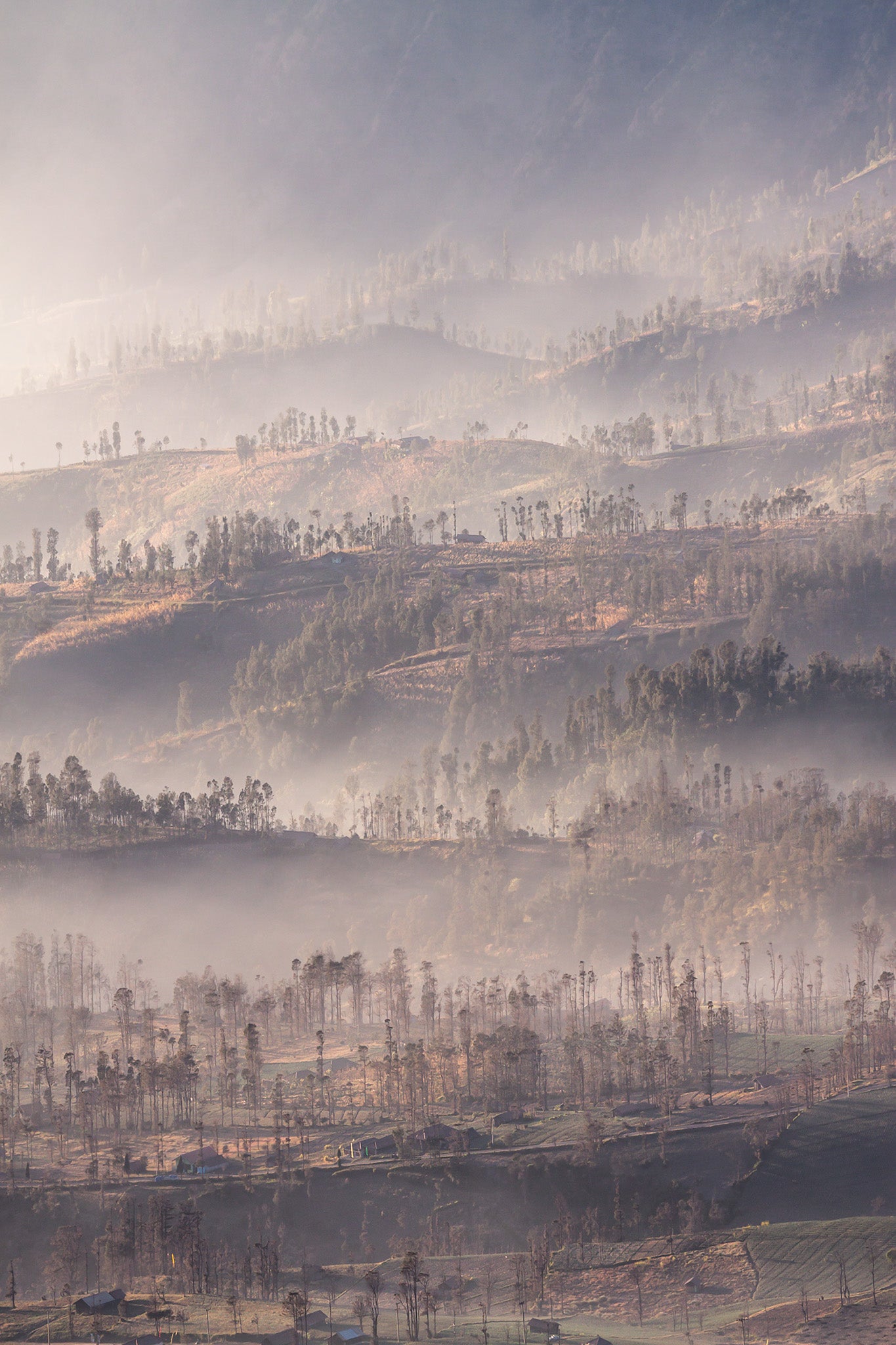 Mountains fine art print - photograph of foggy morning at Bromo, Indonesia