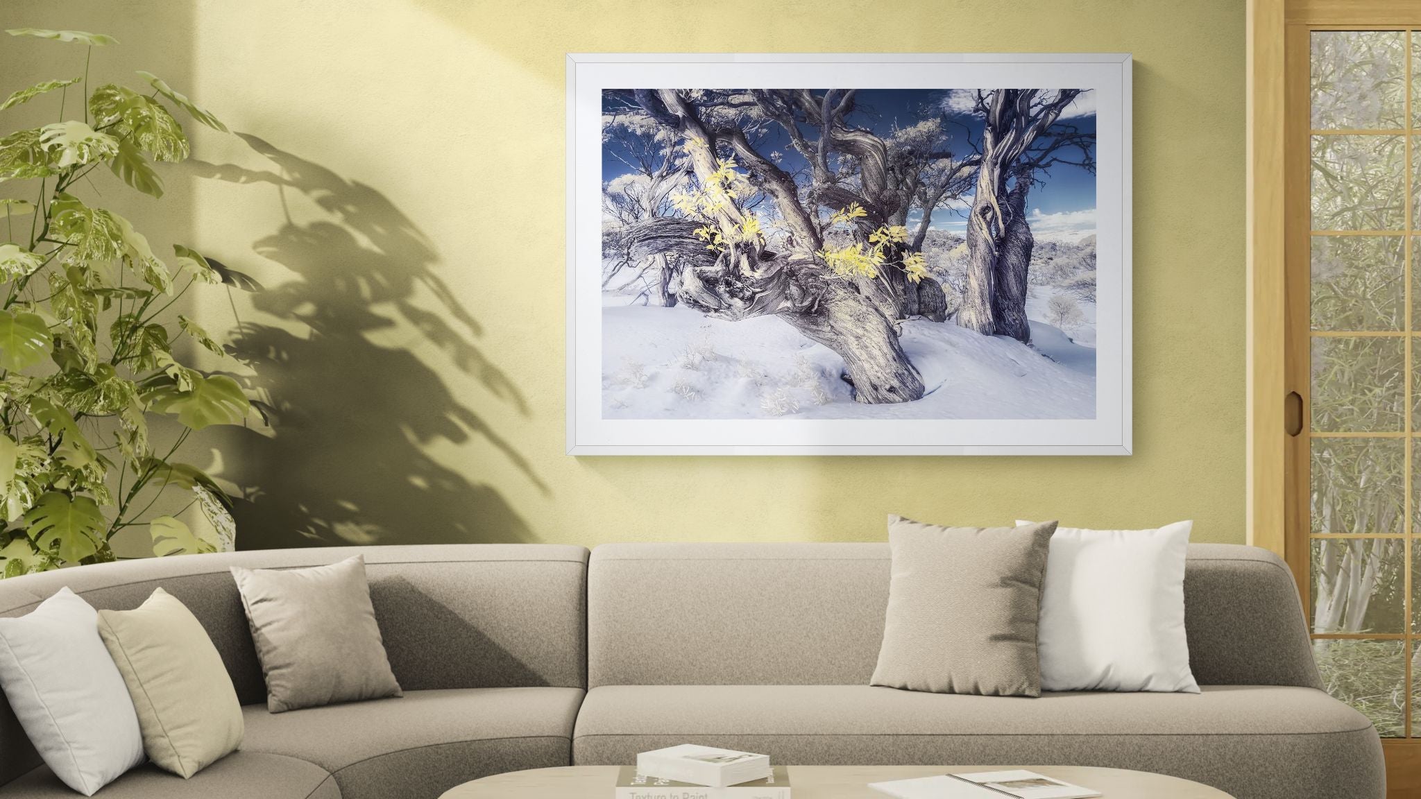 Snow Gums fine art print - photograph of snow gums at Dead Horse Gap, Kosciuszko National Park, NSW