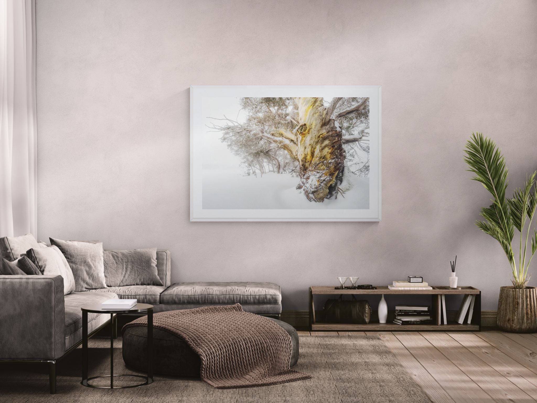 Snow Gums fine art print - photograph of snow gum at Mt Selwyn, Kosciuszko National Park, NSW