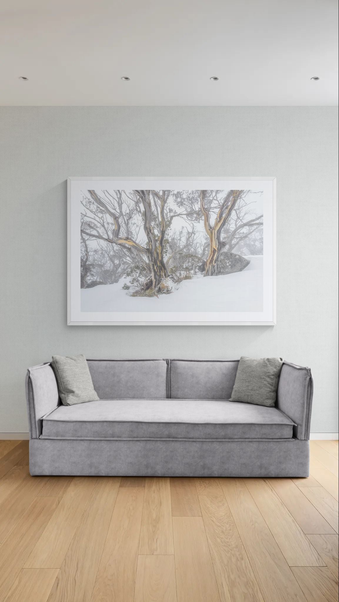 Snow Gums fine art print - photograph of snow gums at Dead Horse Gap, Kosciuszko National Park, NSW