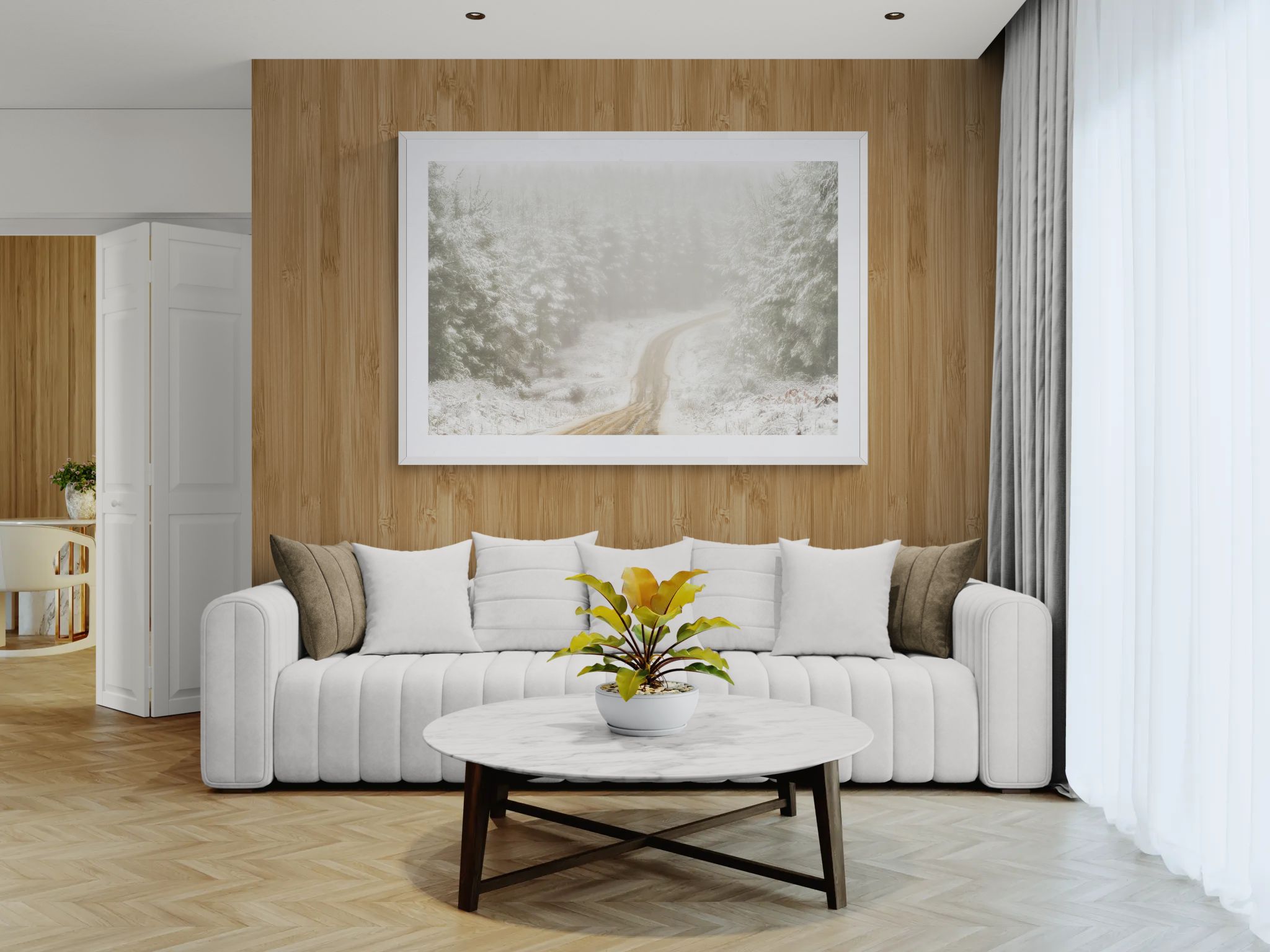 Snow fine art print - photograph of pine forest at Laurel Hill, NSW