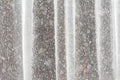 Snow fine art print - photograph of snowy pine forest at Sugar Pine Walk, NSW