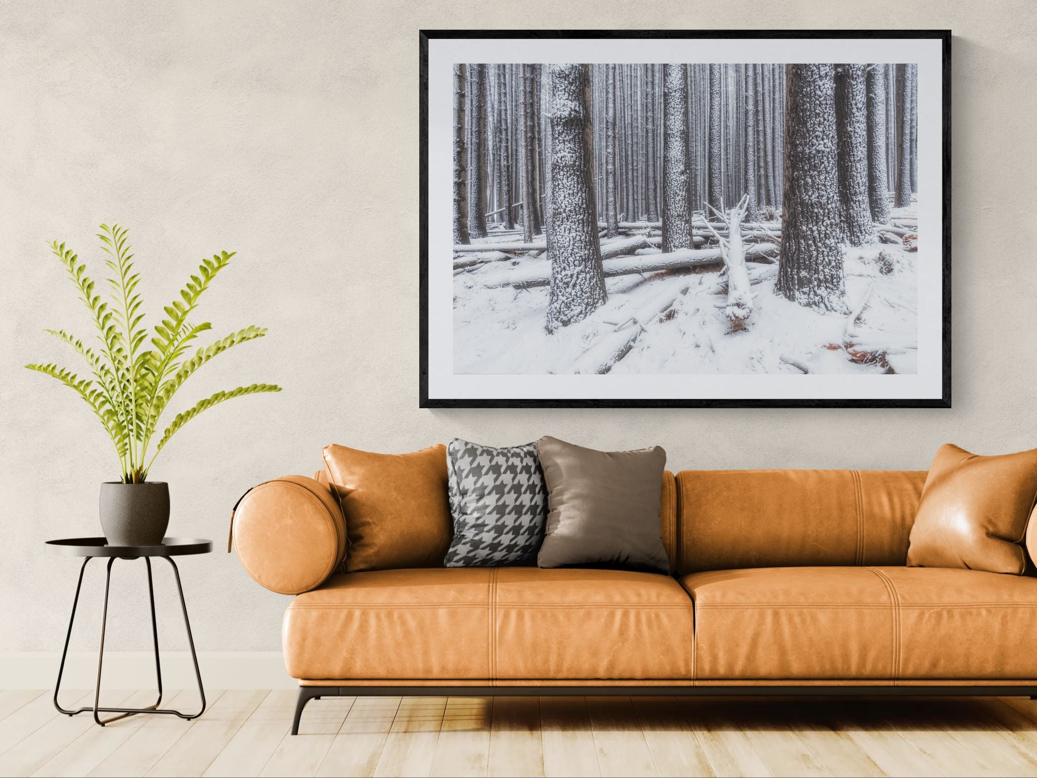 Snow fine art print - photograph of snow at Sugar Pine Walk, NSW
