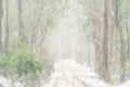 Snow fine art print - photograph of snowy road at Laurel Hill, NSW