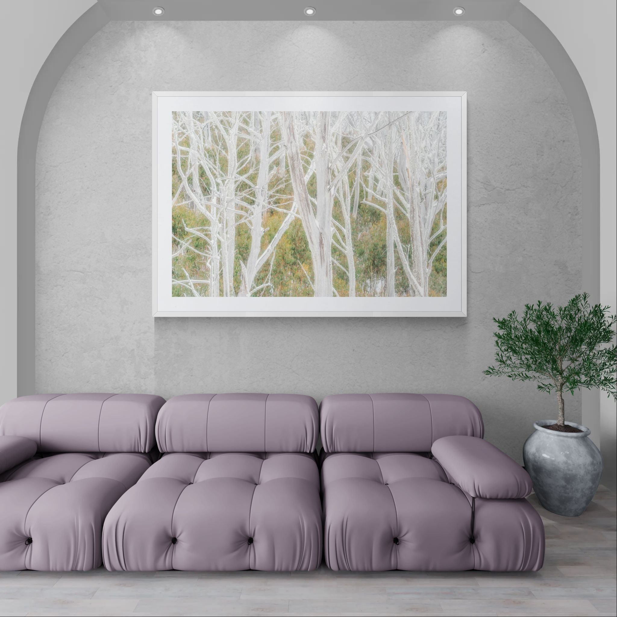Snow fine art print - photograph of a icy trees at Kosciuszko National Park, NSW