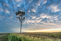 Storms fine art print - photograph of mammatus cloud at Allora, QLD