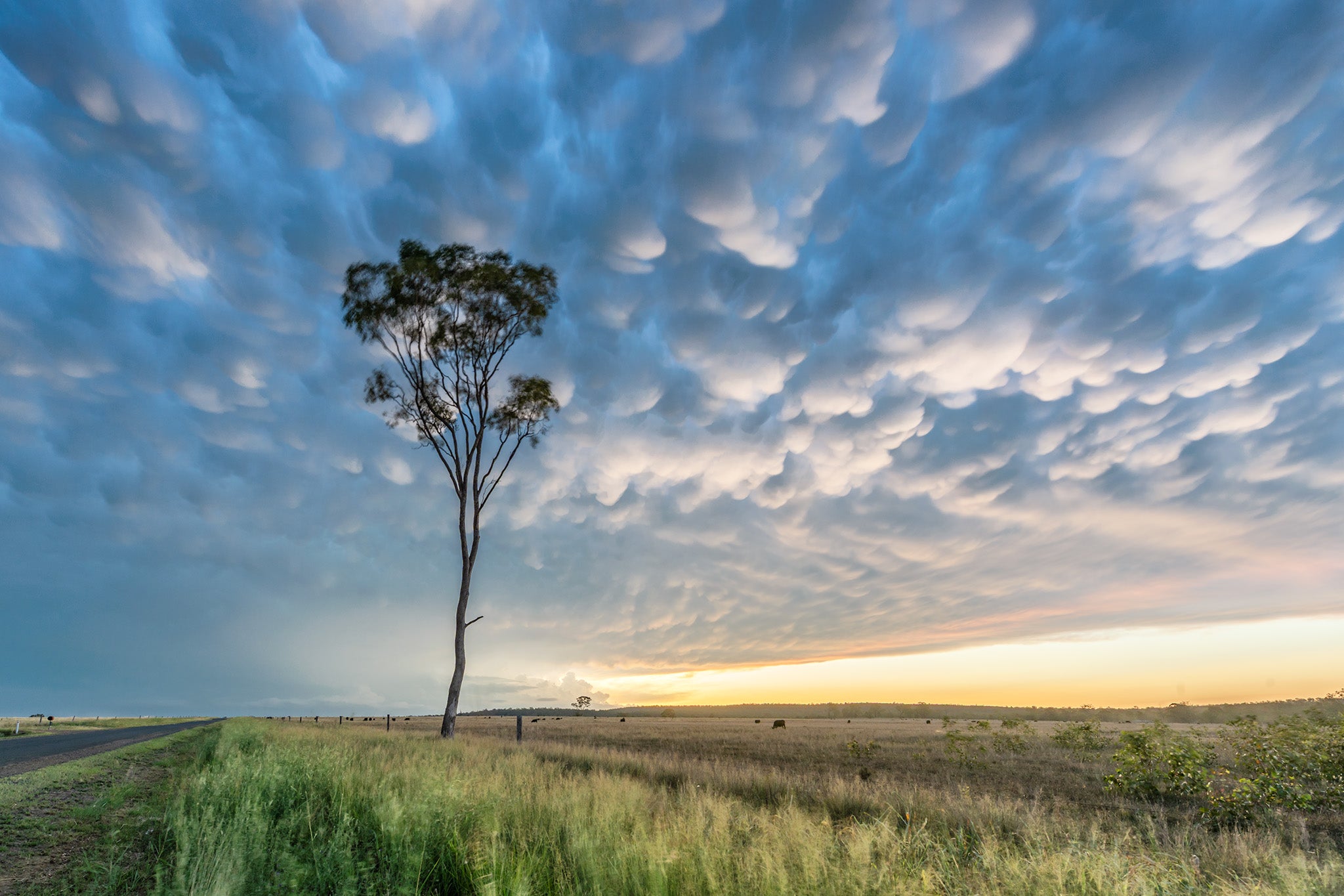 Storms fine art print - photograph of mammatus cloud at Allora, QLD
