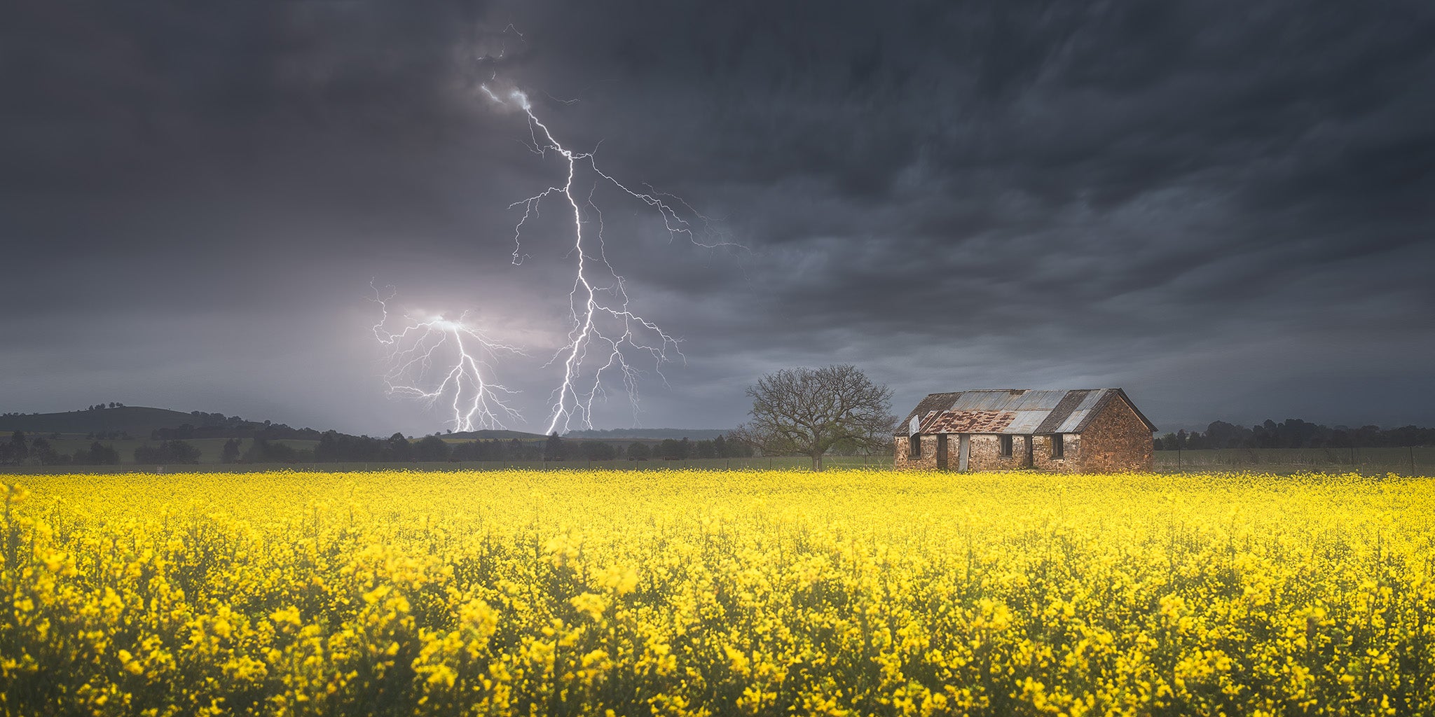 Storms fine art print - photograph of thunderstorm over canola field in Goulburn, NSW