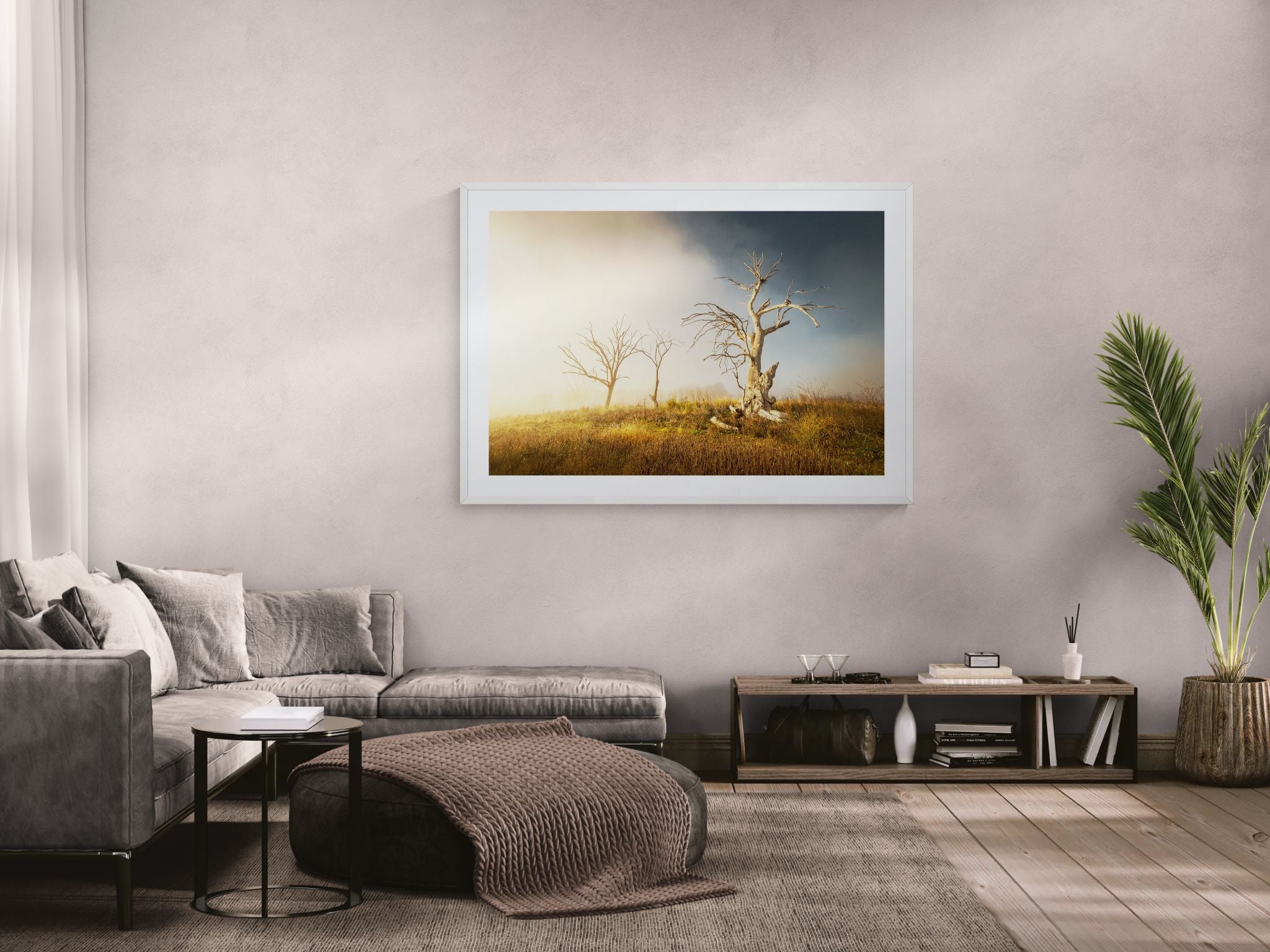 Trees fine art print - photograph of trees at Lake Windamere, NSW