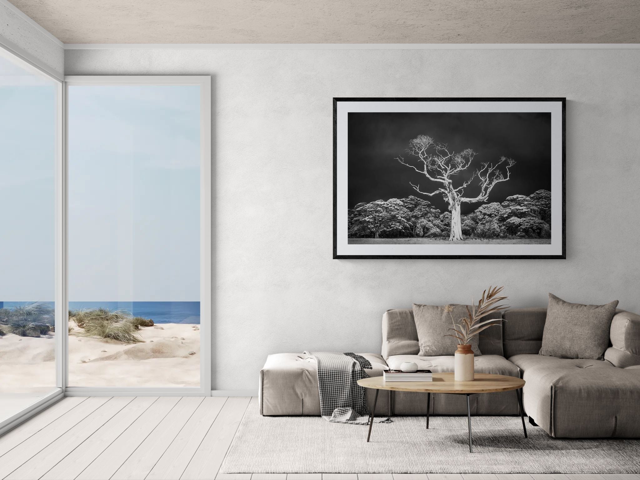 Trees fine art print - photograph of a tree in New Zealand South Island