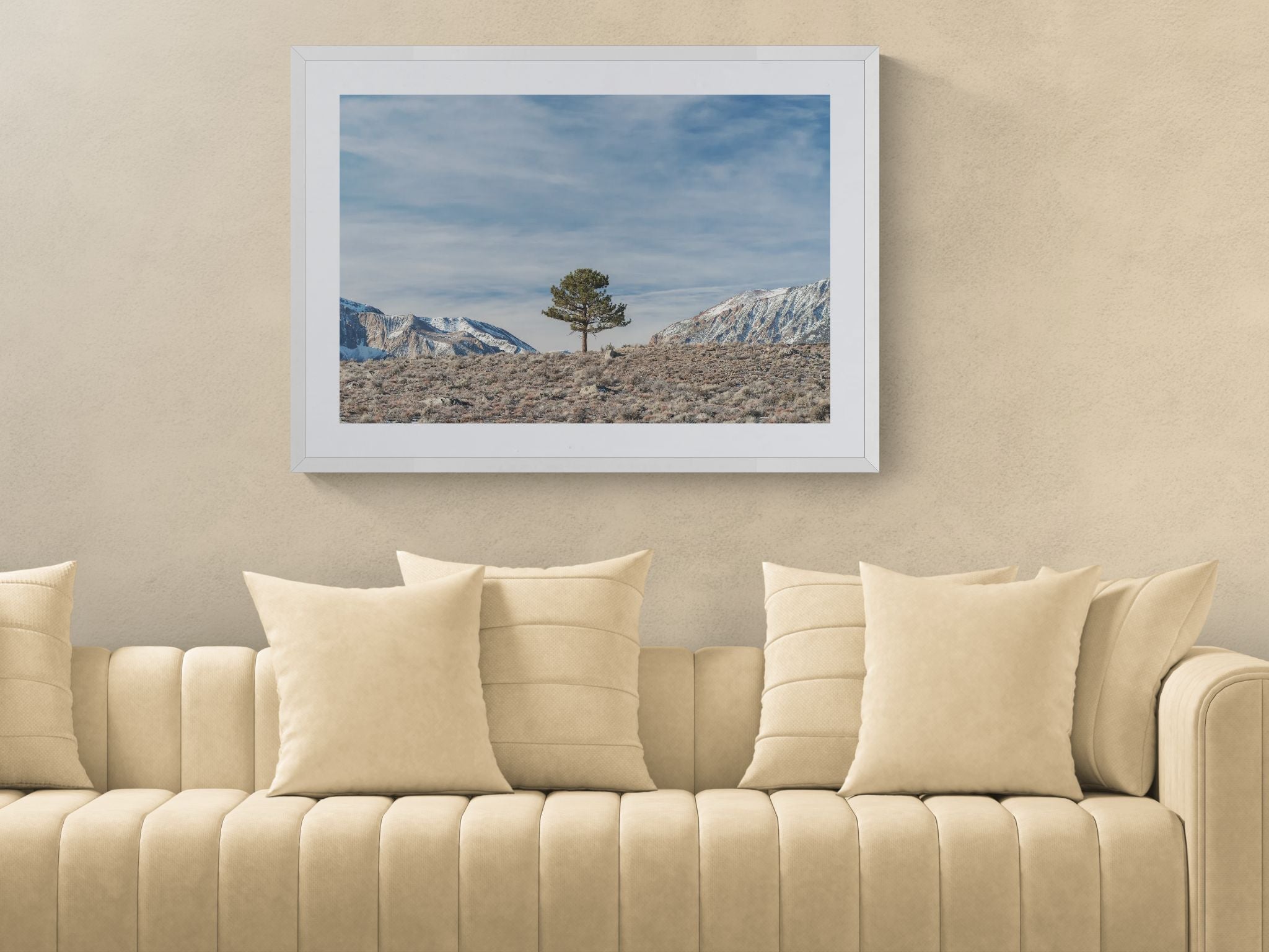 Trees fine art print - photograph of a tree at Mono Lake, California, USA