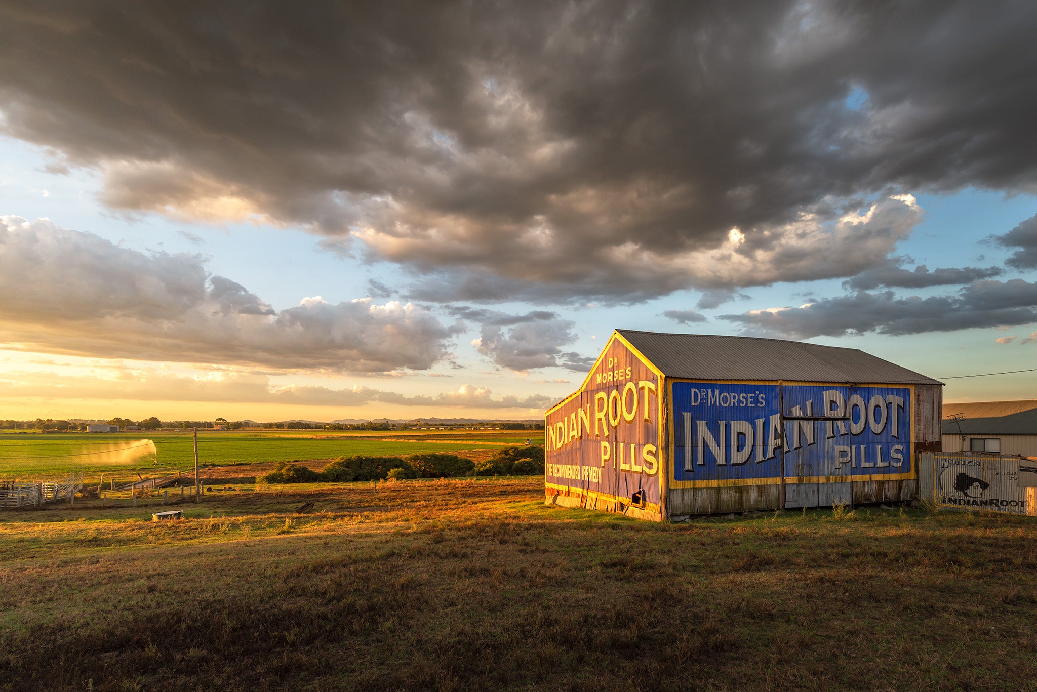 Urban fine art print - photograph of Dr Morse's Indian Root Pills building in Maitland, NSW